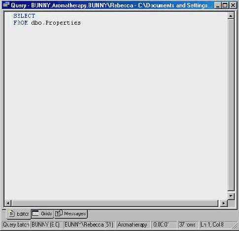 Добавление объектов в панель редактирования Editor Pane